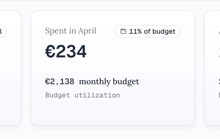 Budget Tracking